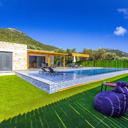 Villa Hayit
